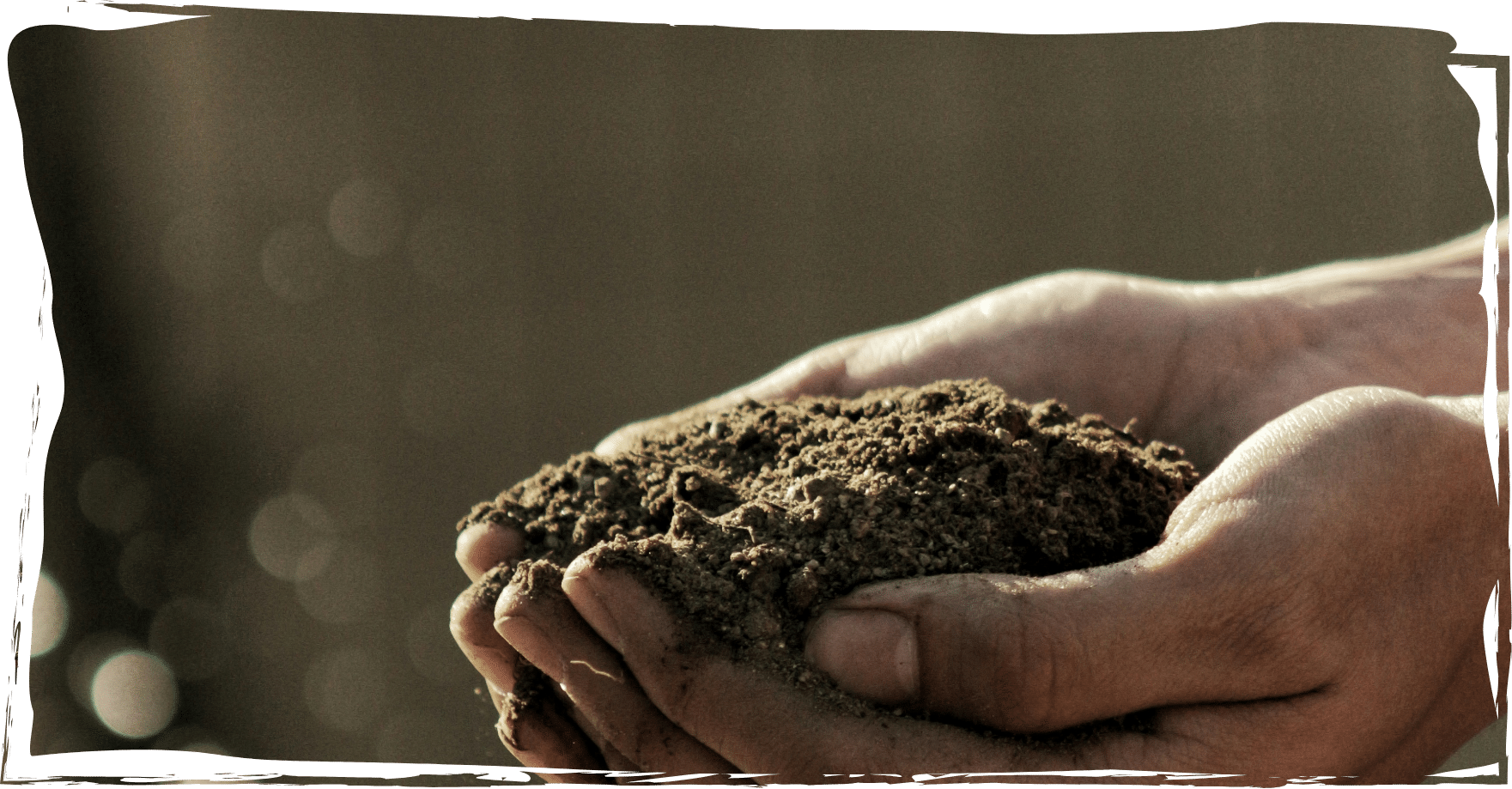 Auf dem Bild sind Hände die Erde in der Hand halten, repräsentativ für den ökologischen Aspekt von Ökofilz.